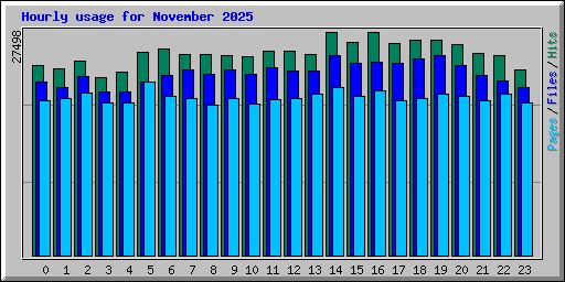 Hourly usage for November 2025