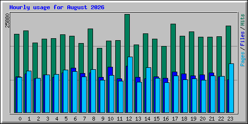 Hourly usage for August 2026